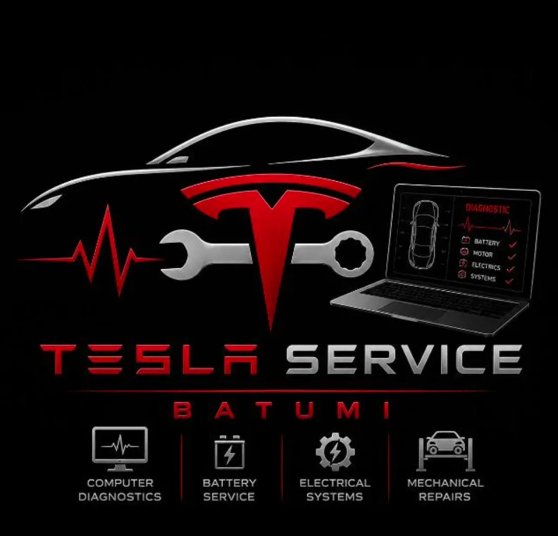 გიგას TESLA SERVICE — ფოტო 2