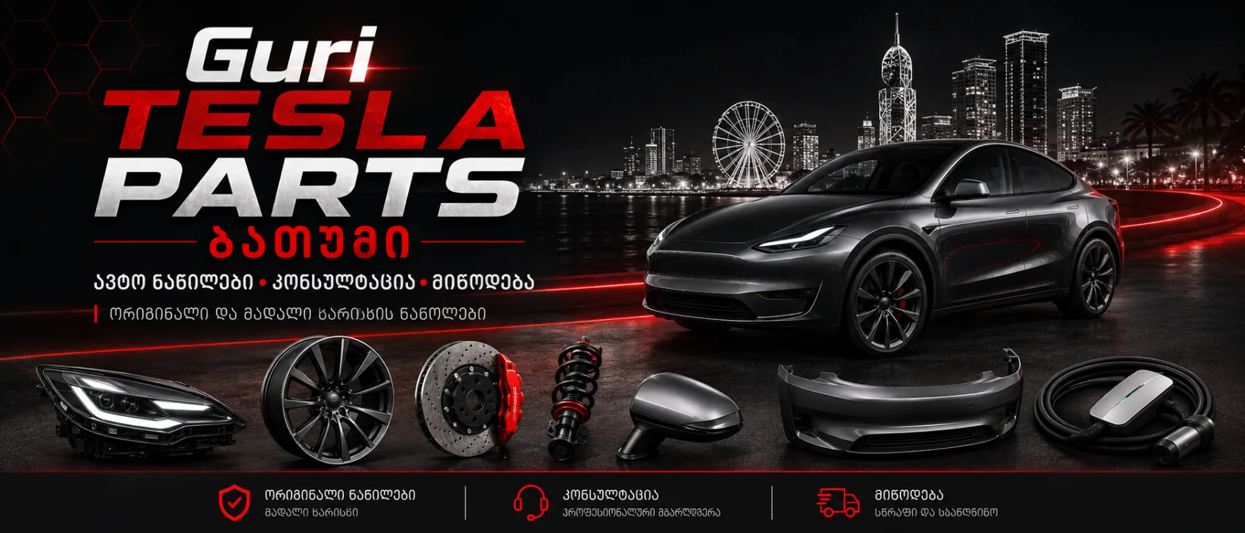 Guri Tesla PArts Batumi
