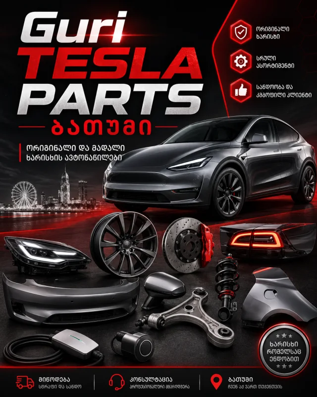 Guri Tesla PArts Batumi